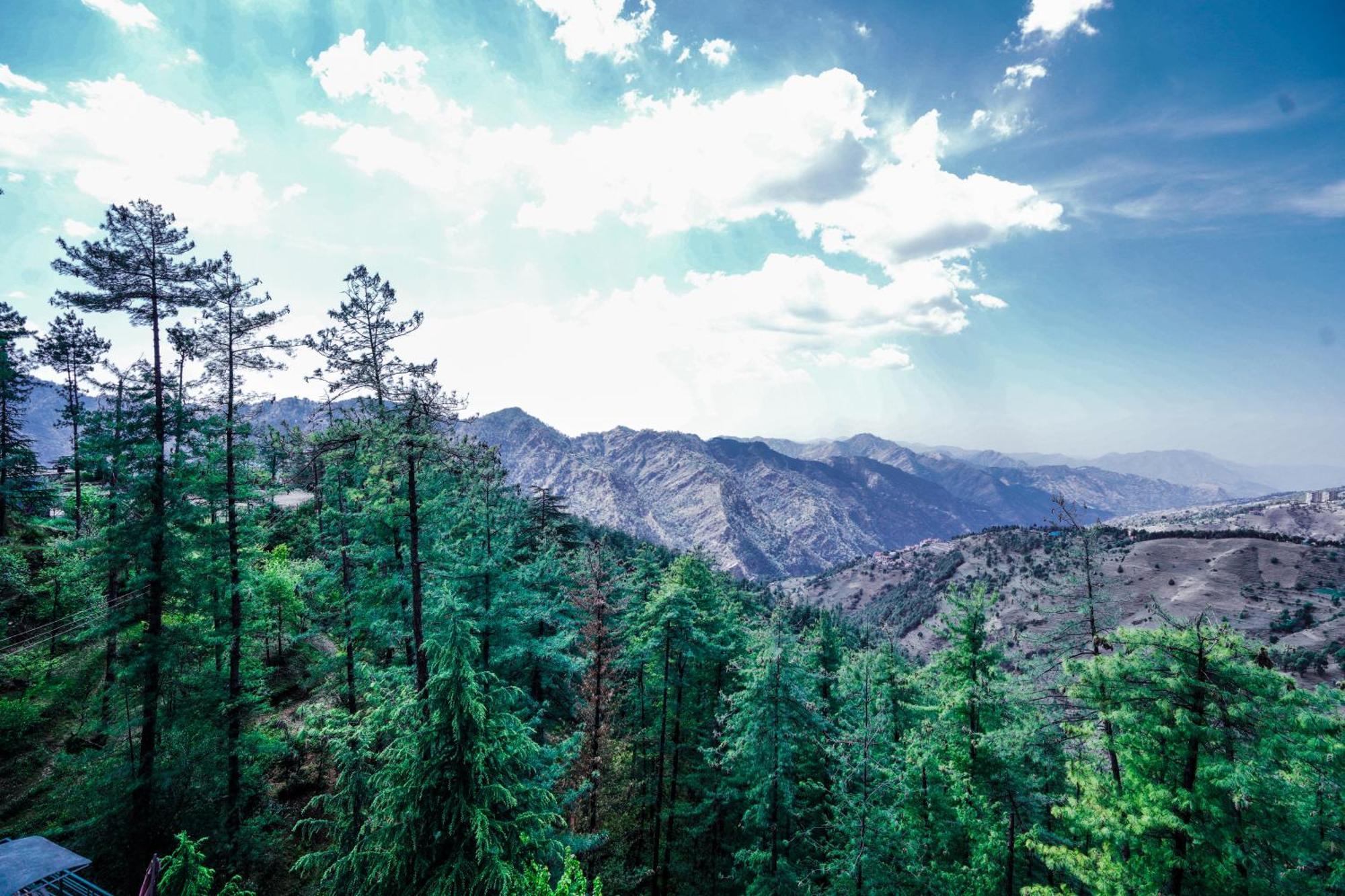 Aachman Nature Valley Resort Mashobra By Naina Staycation- Private Parking - Balcony And Valley View Rooms Shimla Exteriör bild
